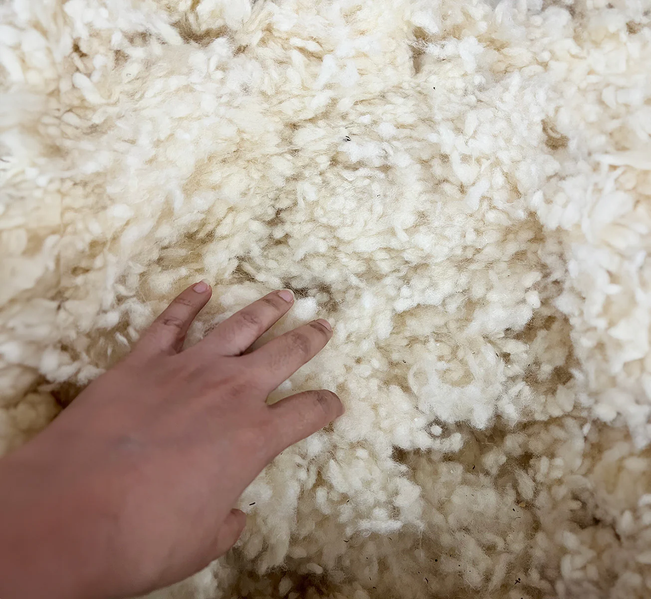 Gusseted Wool Pillows - Image 6